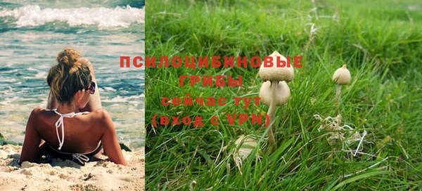 твердый Краснослободск