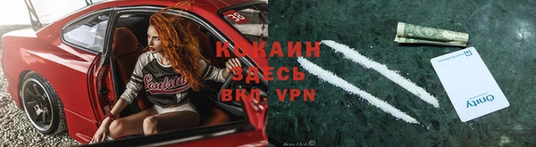твердый Краснослободск