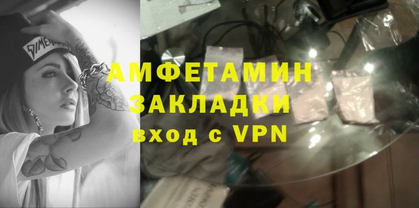 твердый Краснослободск