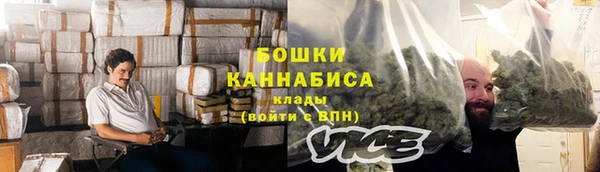 твердый Краснослободск