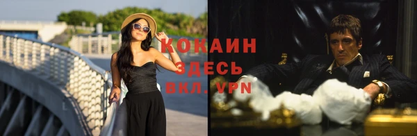 твердый Краснослободск
