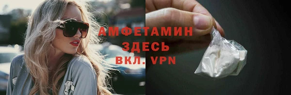 твердый Краснослободск