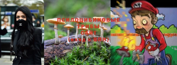 твердый Краснослободск